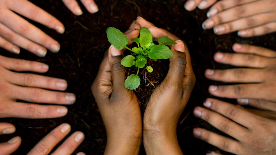 Création de site internet pas cher